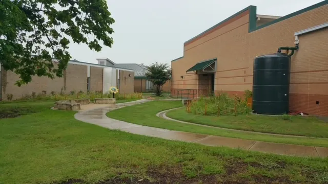 倡导者:树木、雨水花园及其他“基于自然的解决方案”为城市提供经济高效的气候适应方案